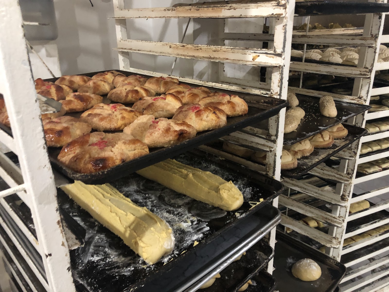 leetx-google-photo-57826-4 leetx-google-photo-57826-4