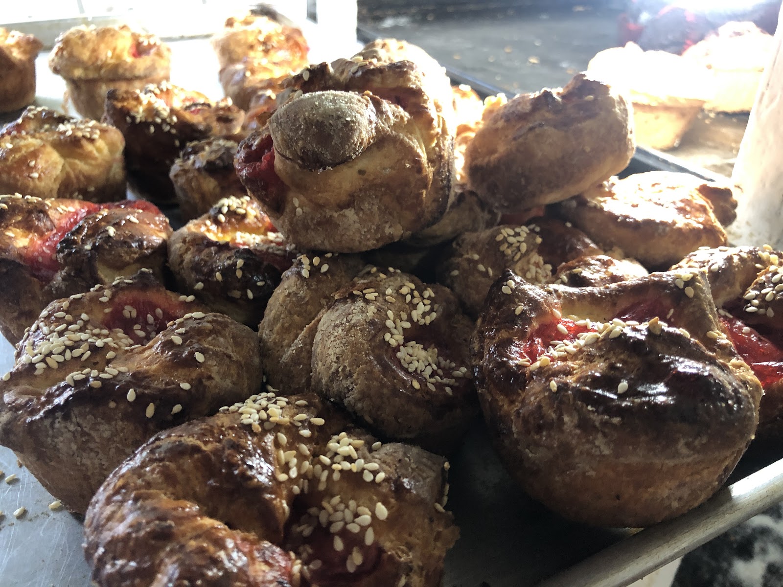 leetx-google-photo-57826-5 leetx-google-photo-57826-5