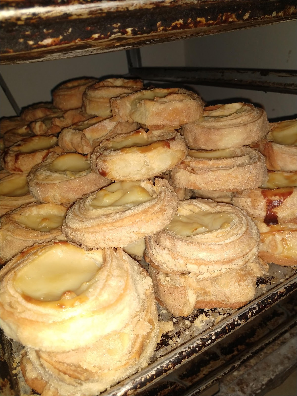 leetx-google-photo-57873-1