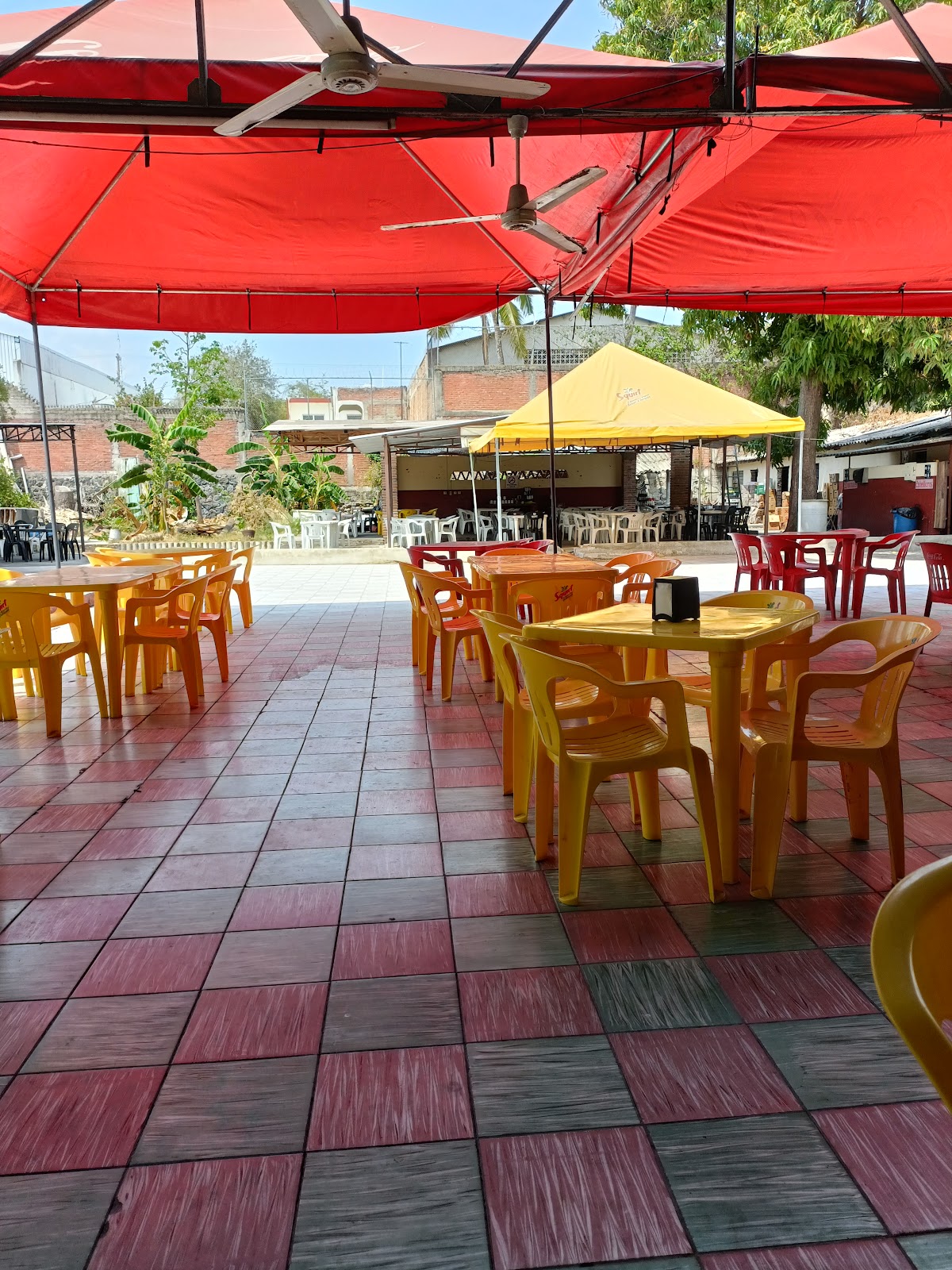 leetx-google-photo-57959-1