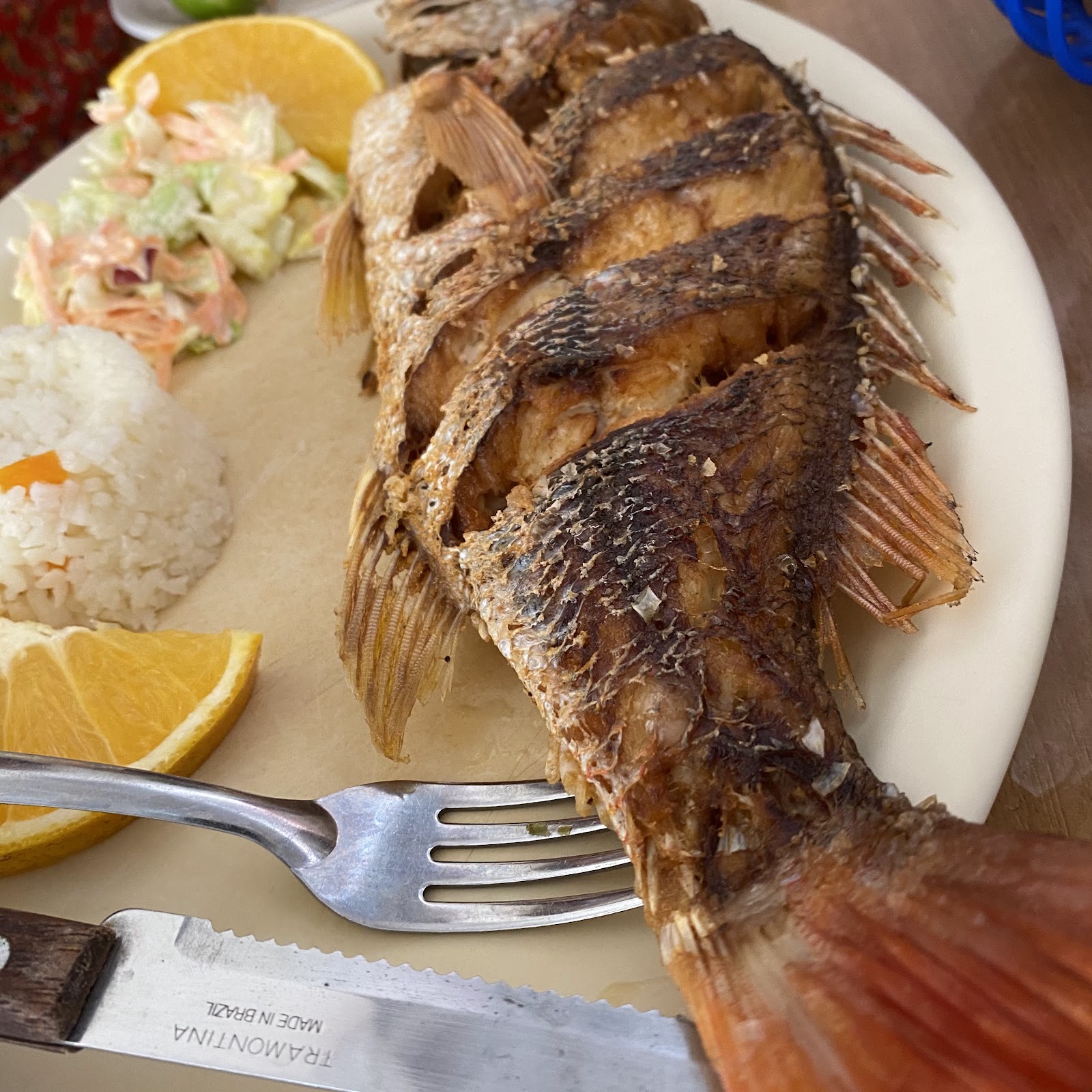 leetx-google-photo-57985-5 leetx-google-photo-57985-5