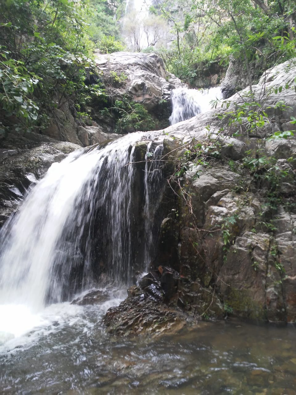 leetx-google-photo-58042-1