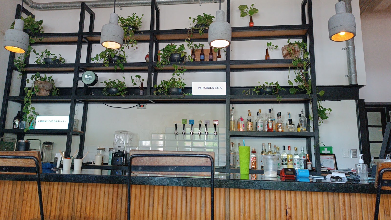 leetx-google-photo-58045-3 leetx-google-photo-58045-3