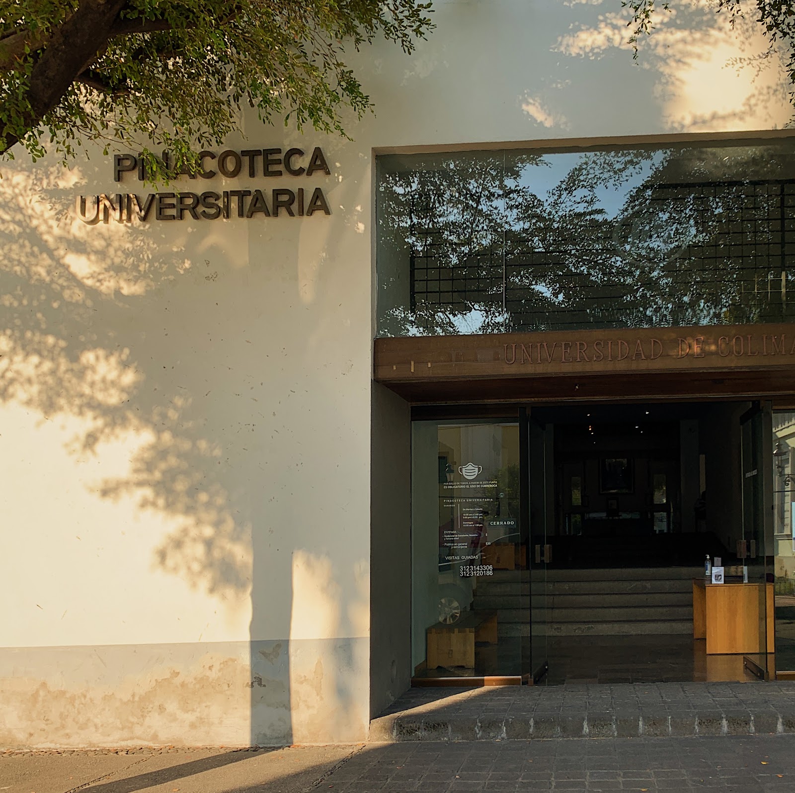 leetx-google-photo-58180-1