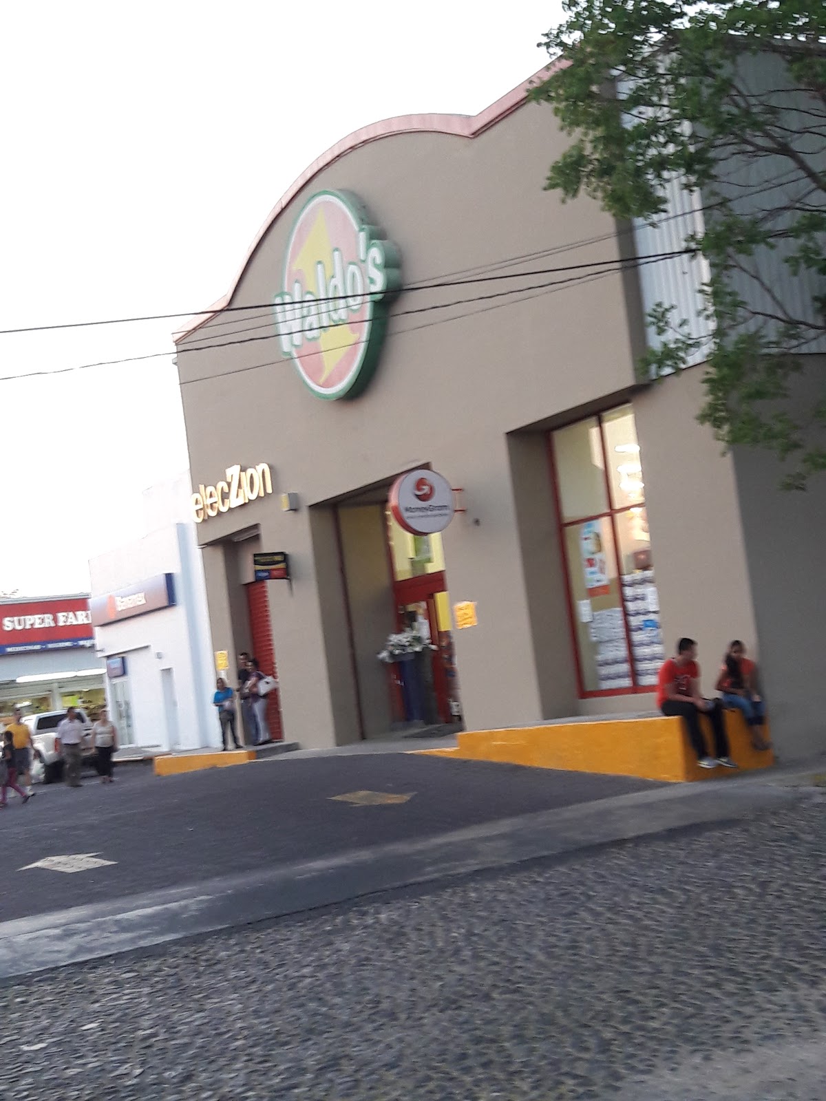 leetx-google-photo-59393-1