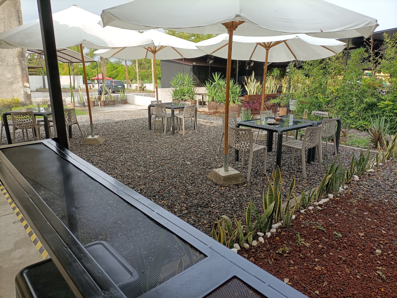 leetx-google-photo-59595-1