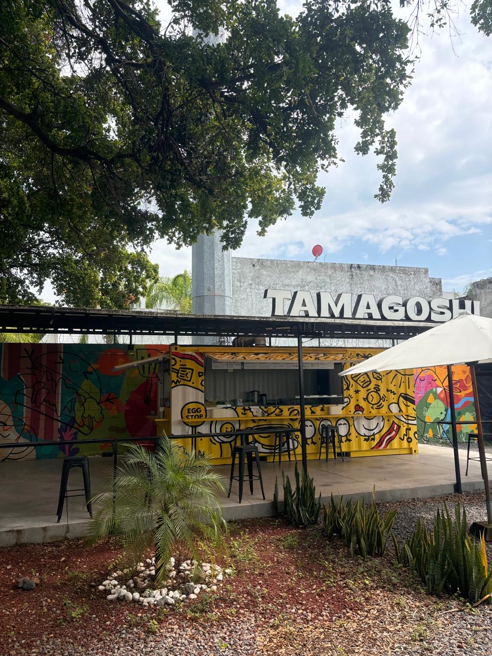 leetx-google-photo-59595-5 leetx-google-photo-59595-5