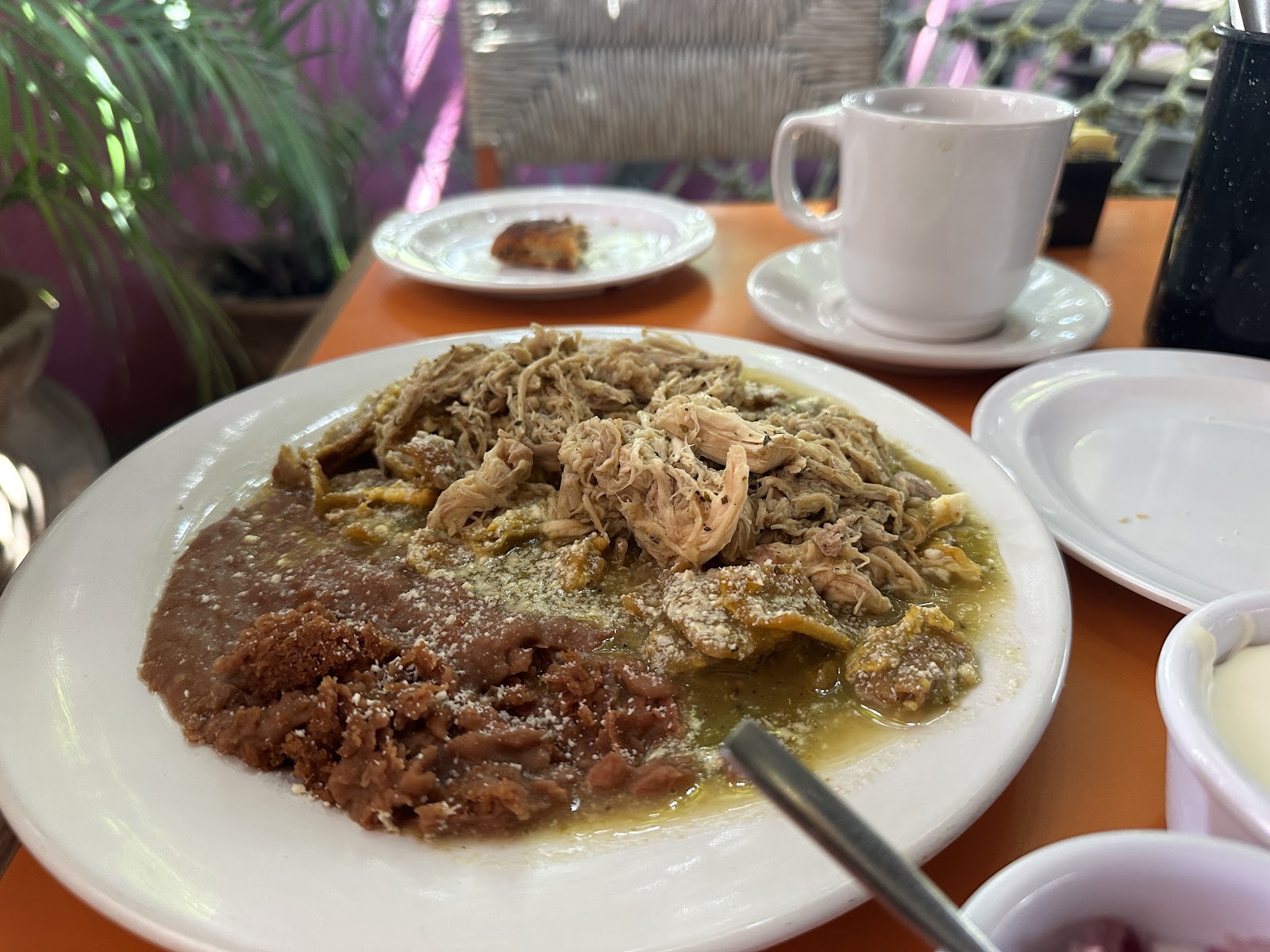 leetx-google-photo-59616-5 leetx-google-photo-59616-5