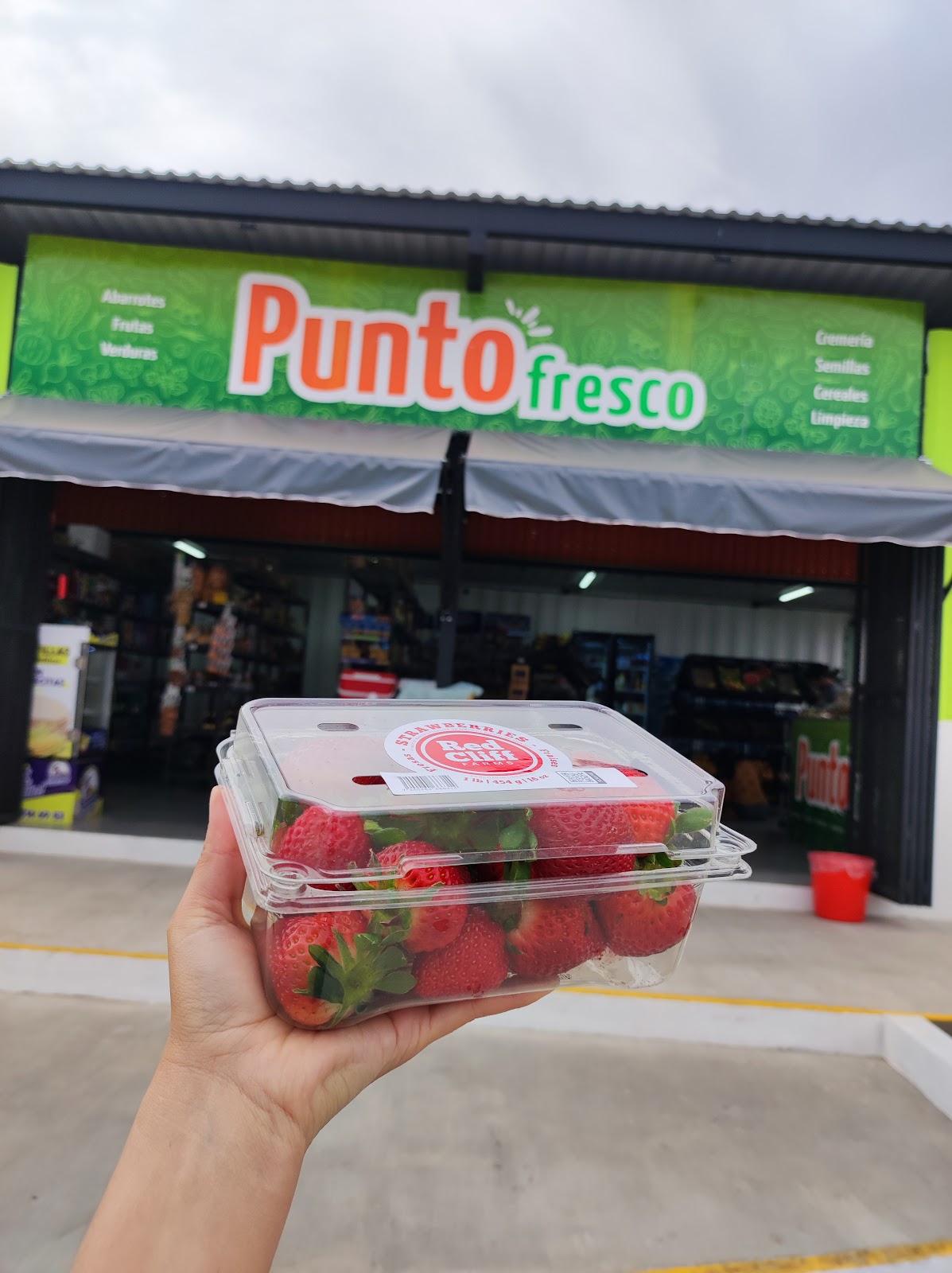 leetx-google-photo-59676-1