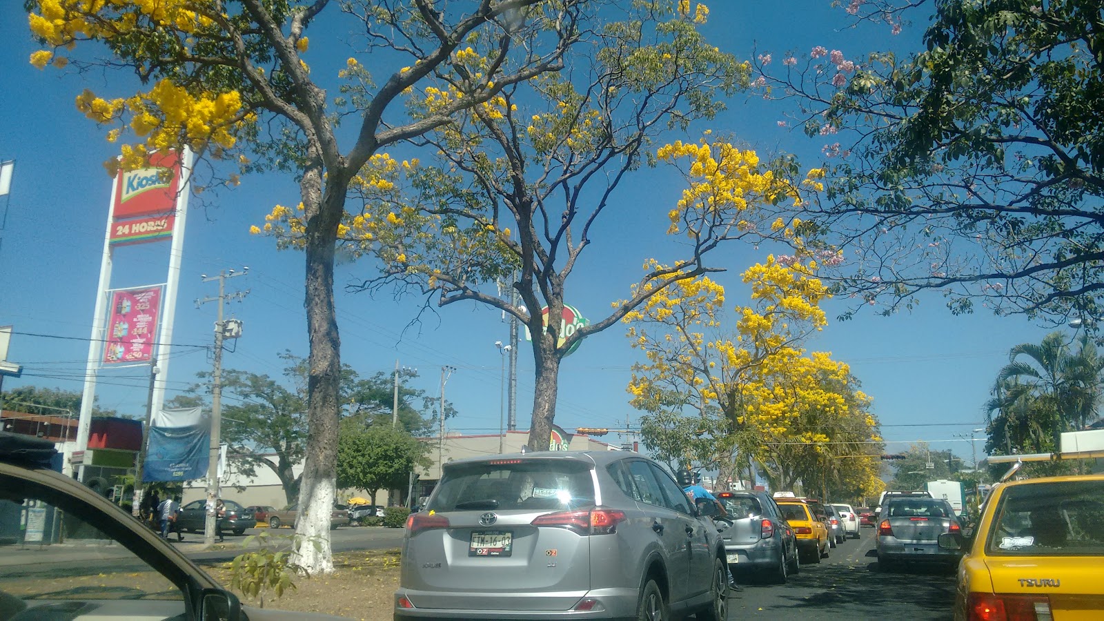 leetx-google-photo-60487-1