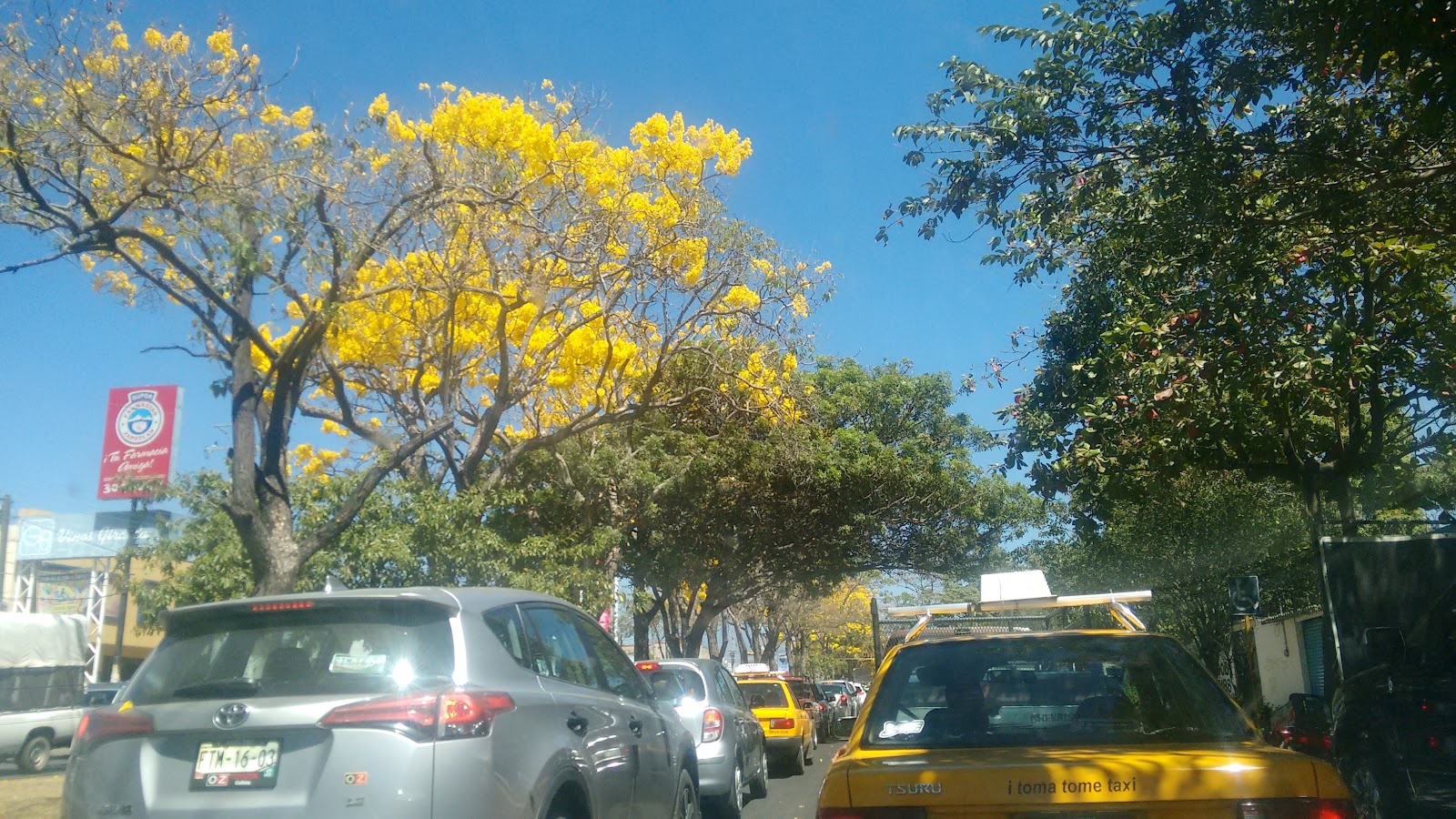 leetx-google-photo-60487-2 leetx-google-photo-60487-2