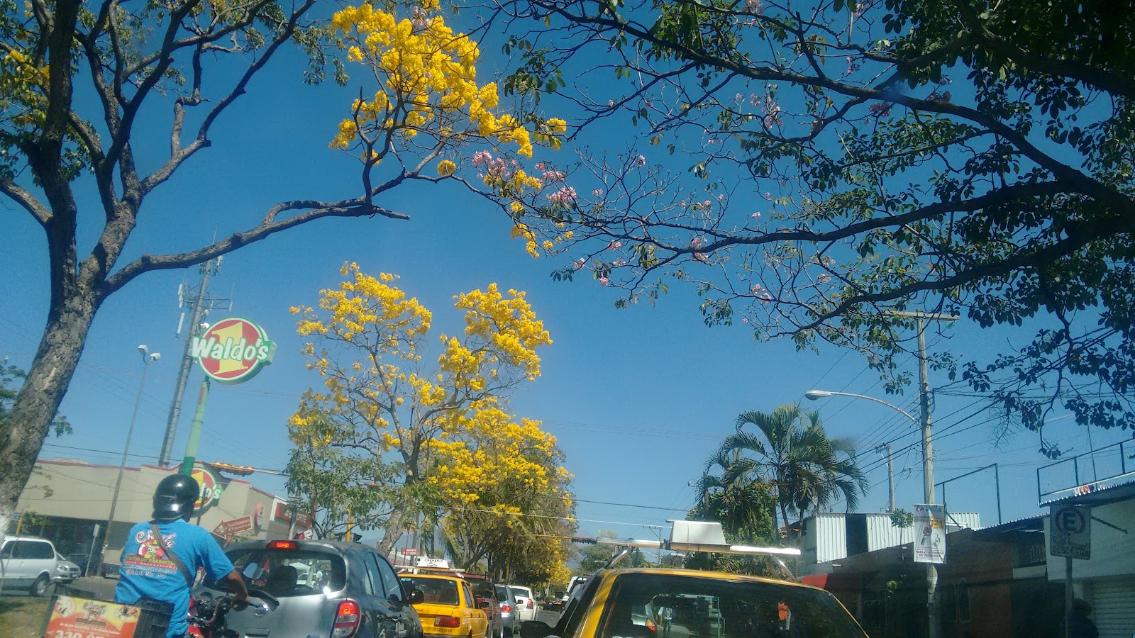 leetx-google-photo-60487-3 leetx-google-photo-60487-3