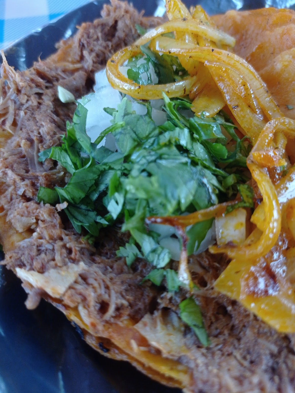 leetx-google-photo-60514-2 leetx-google-photo-60514-2