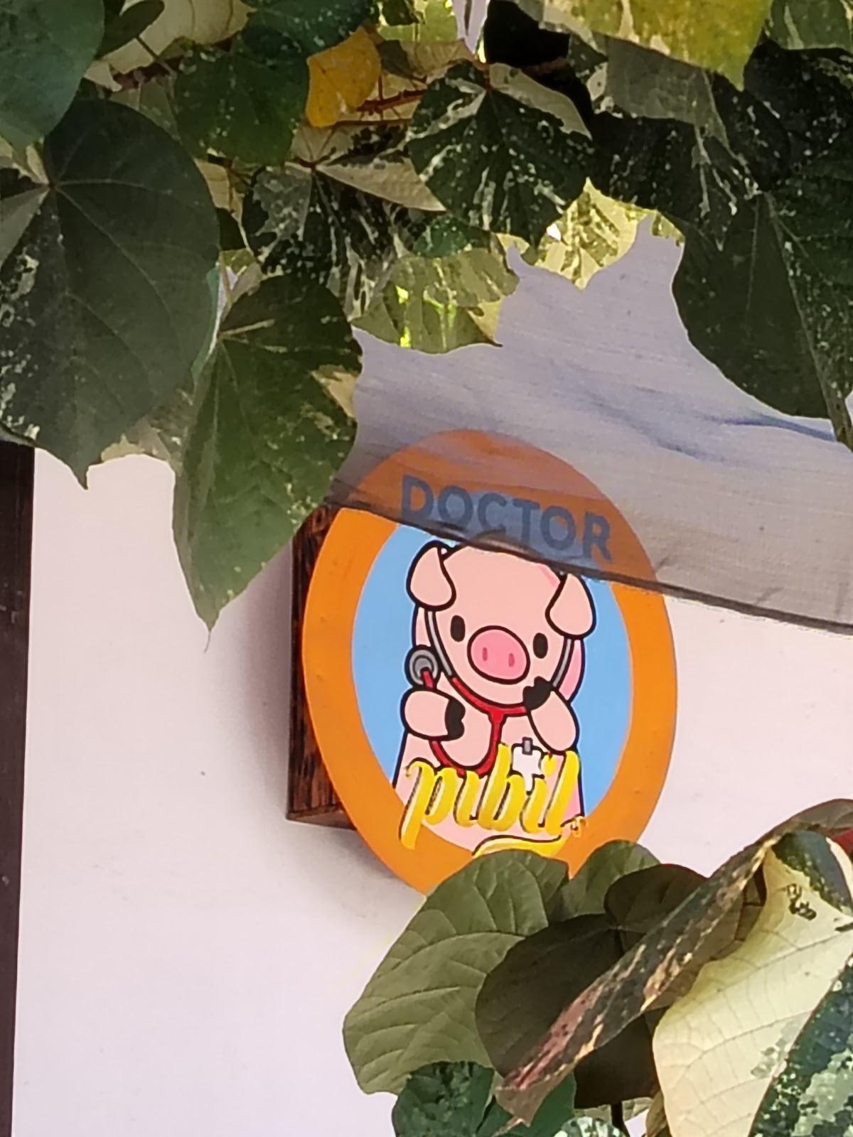 leetx-google-photo-60514-7 leetx-google-photo-60514-7