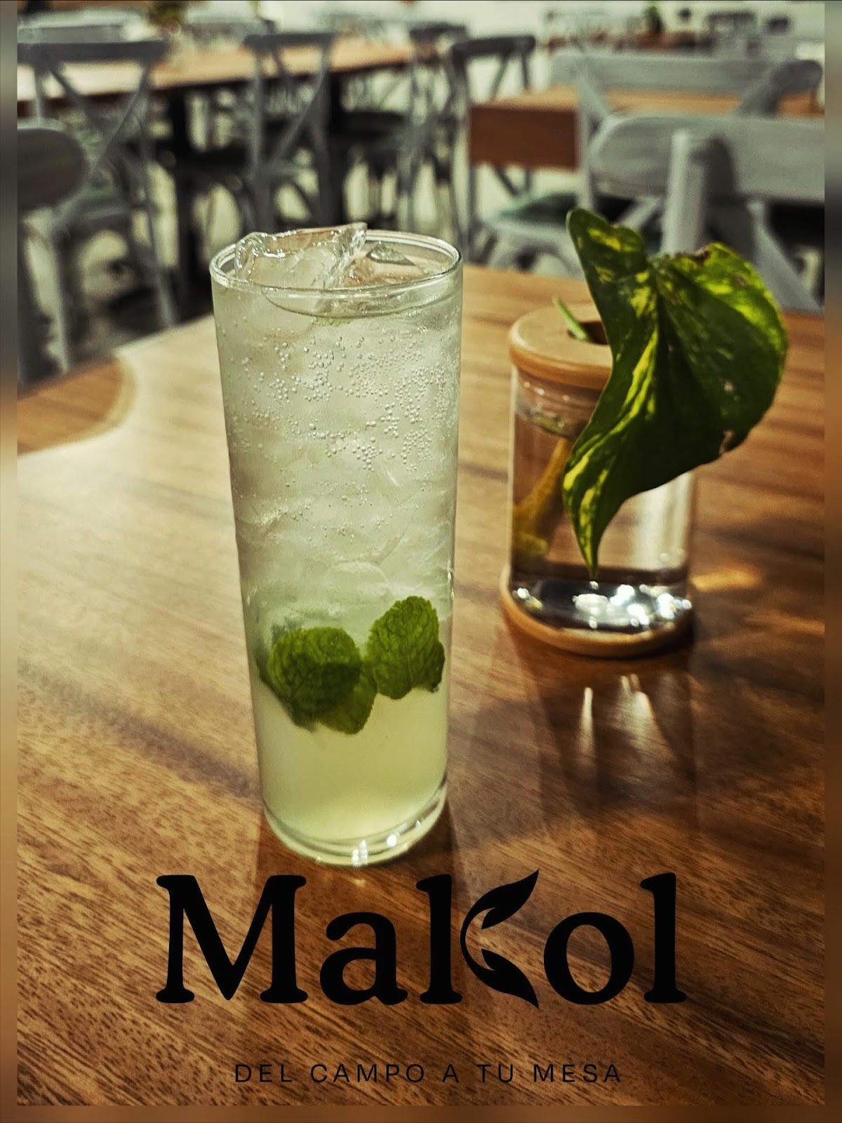 leetx-google-photo-60557-1