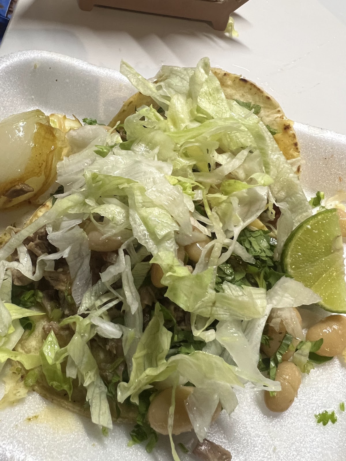 leetx-google-photo-60700-1