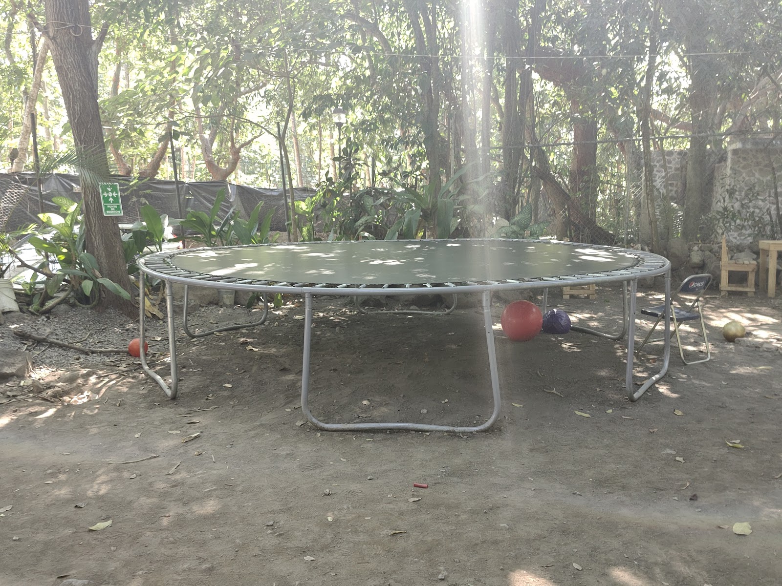 leetx-google-photo-60900-1