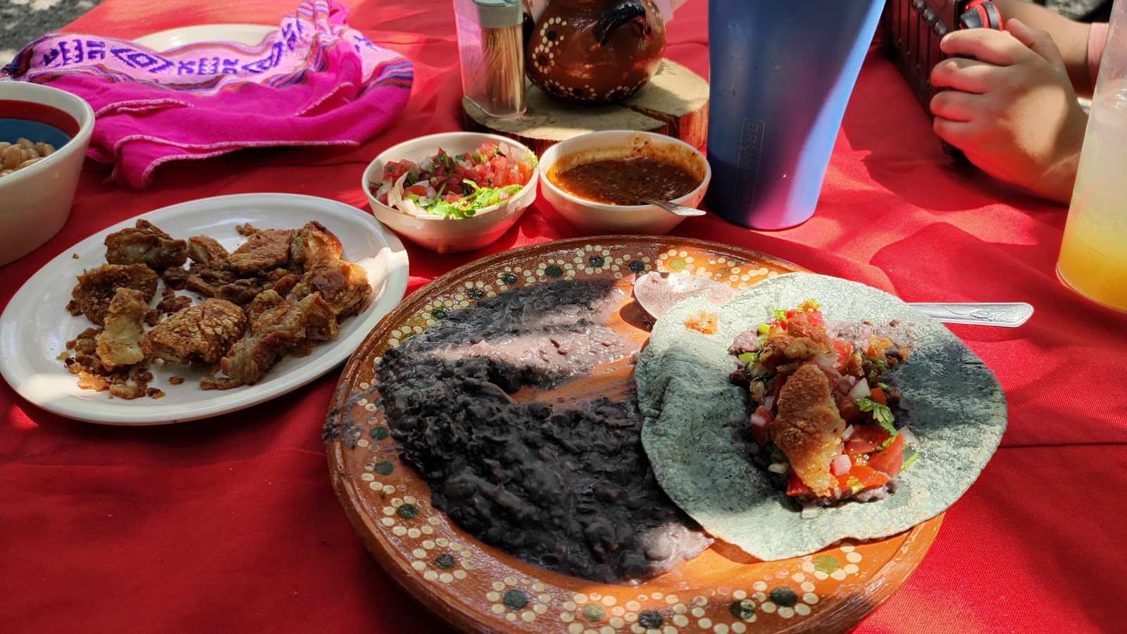 leetx-google-photo-60900-2 leetx-google-photo-60900-2