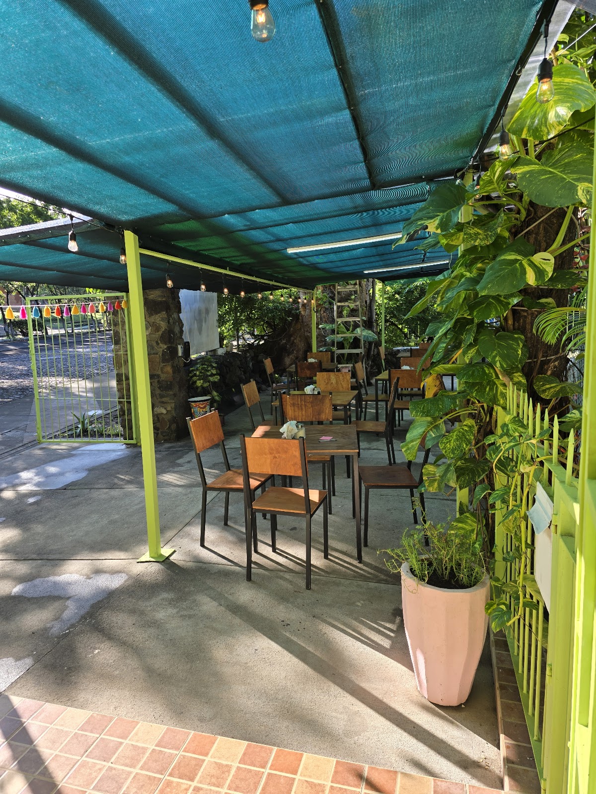 leetx-google-photo-60910-1