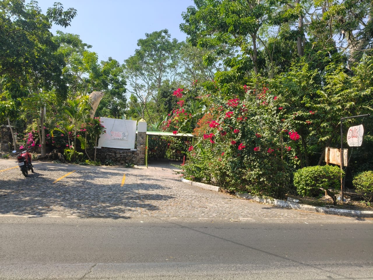 leetx-google-photo-60910-3 leetx-google-photo-60910-3