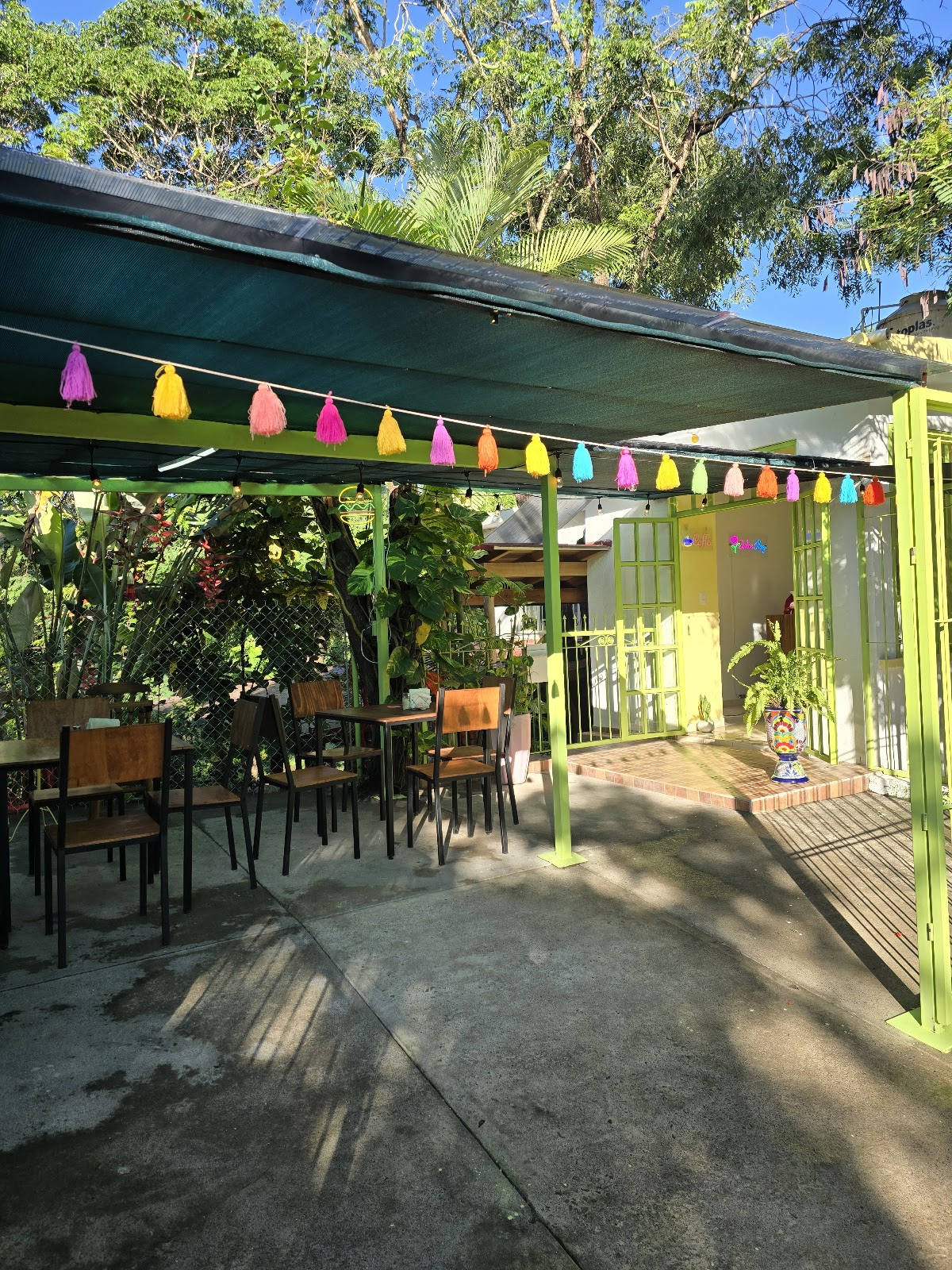 leetx-google-photo-60910-5 leetx-google-photo-60910-5