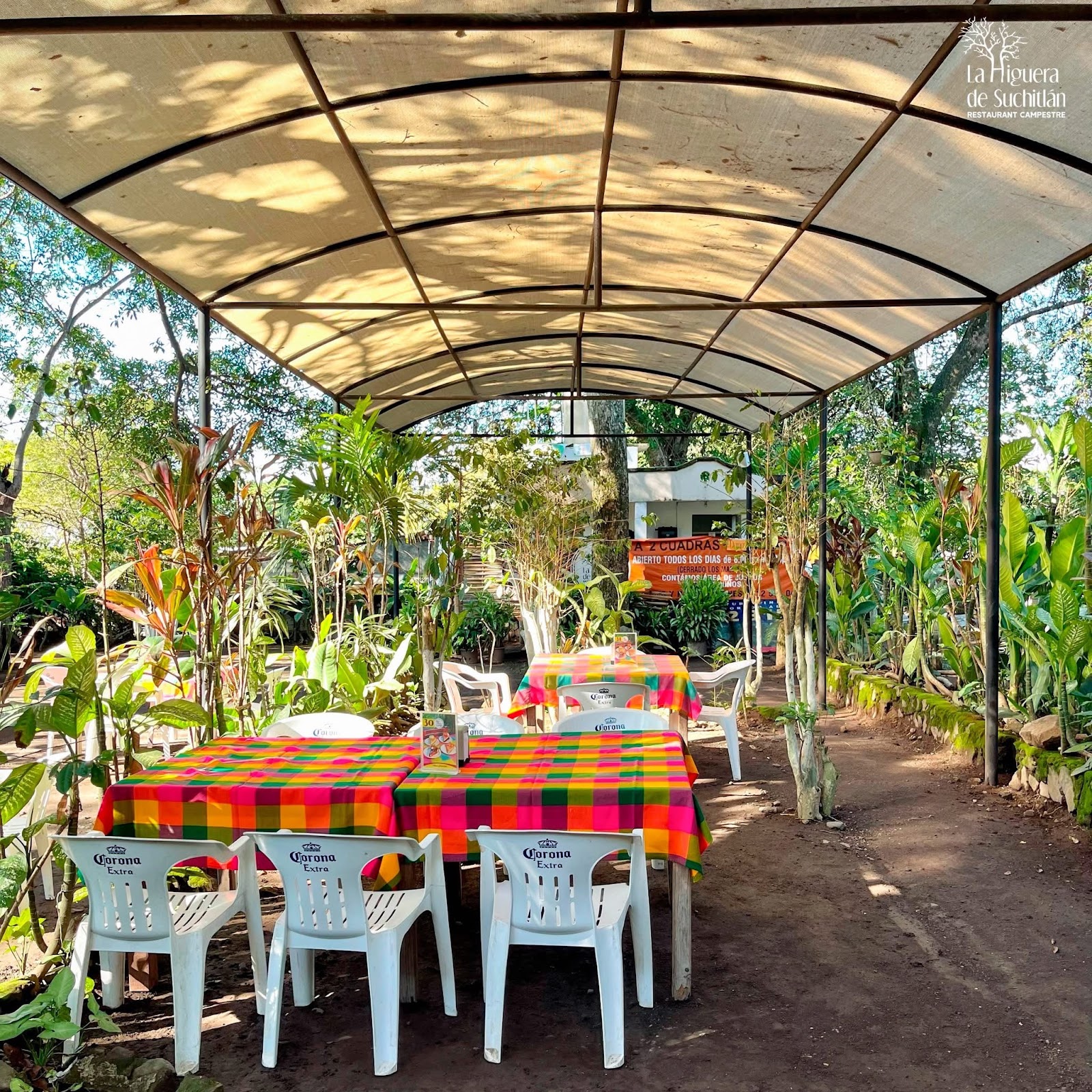 leetx-google-photo-60936-6 leetx-google-photo-60936-6