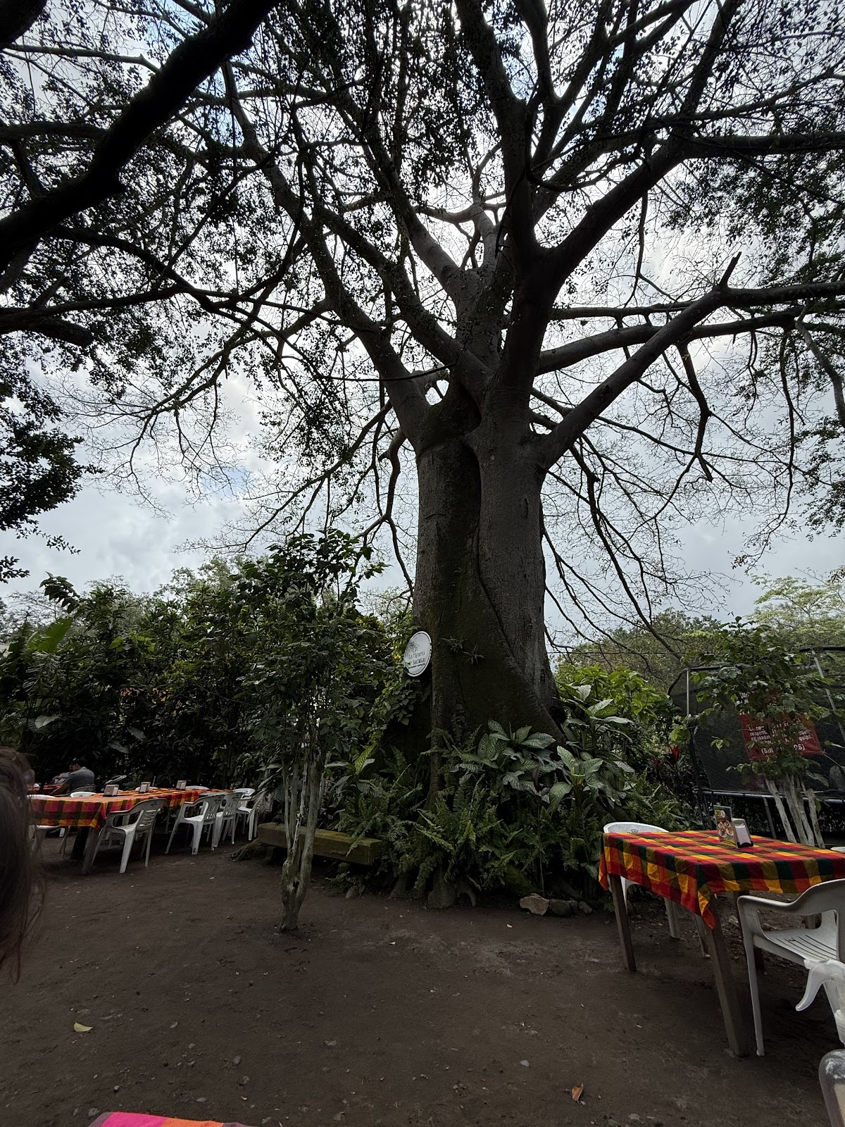 leetx-google-photo-60936-7 leetx-google-photo-60936-7