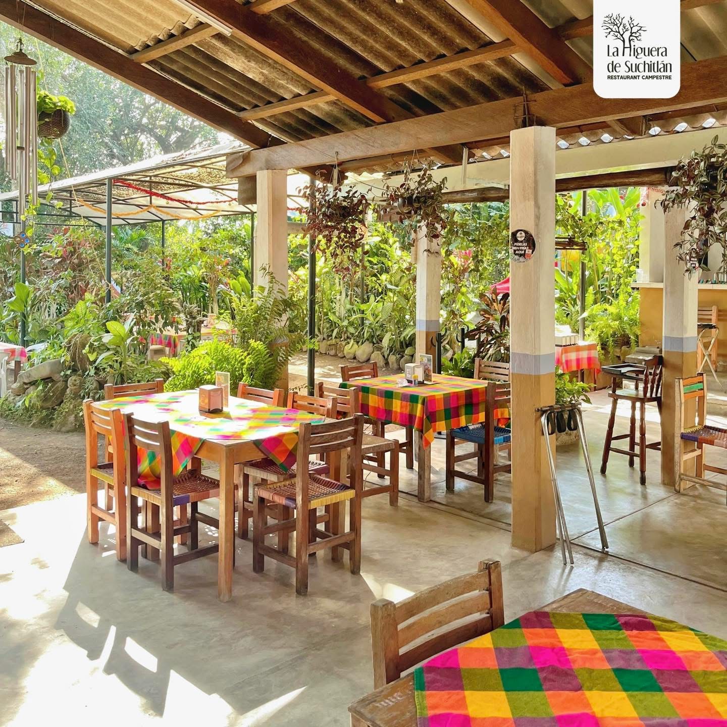 leetx-google-photo-60936-8 leetx-google-photo-60936-8