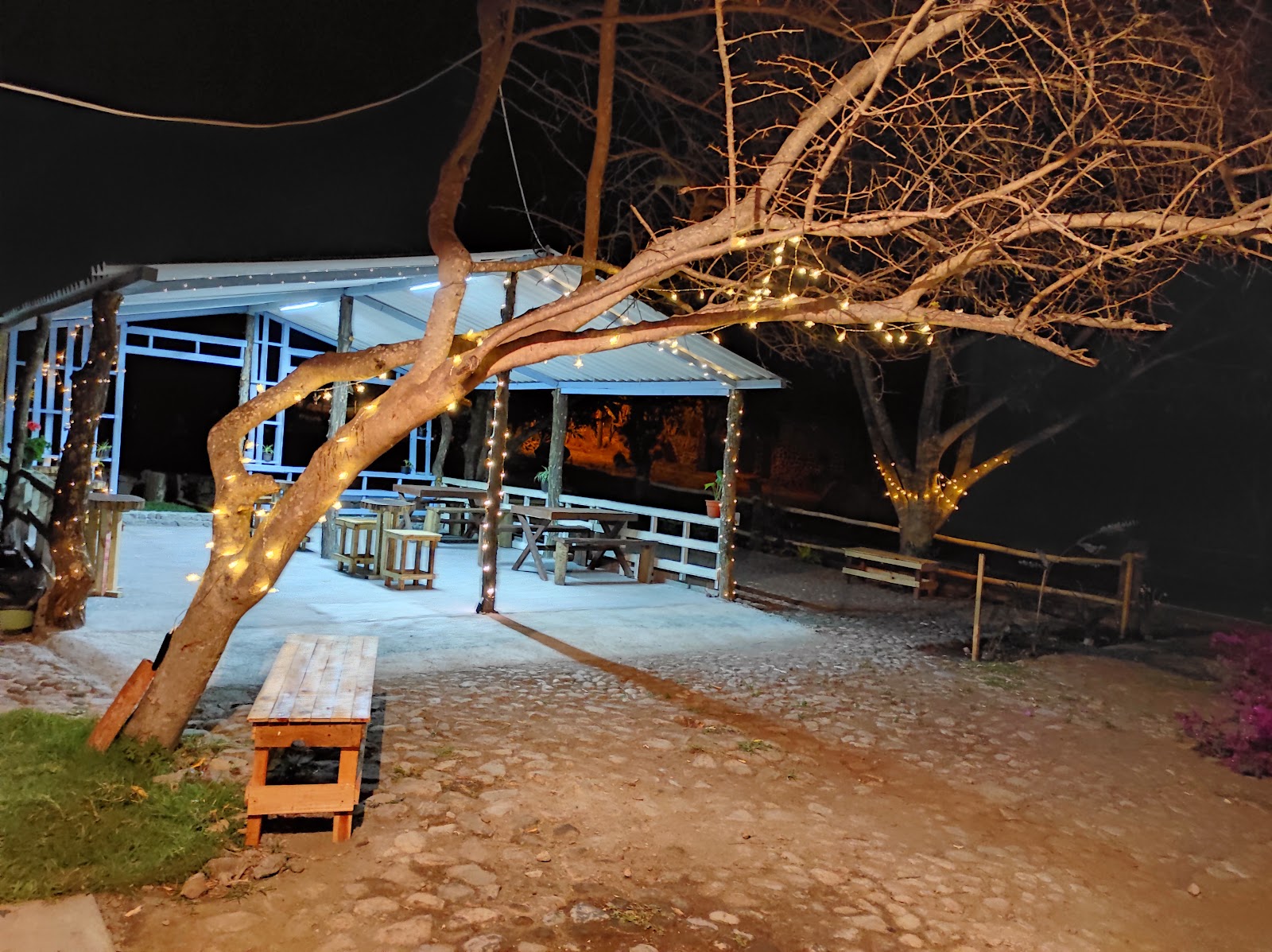 leetx-google-photo-60983-3 leetx-google-photo-60983-3