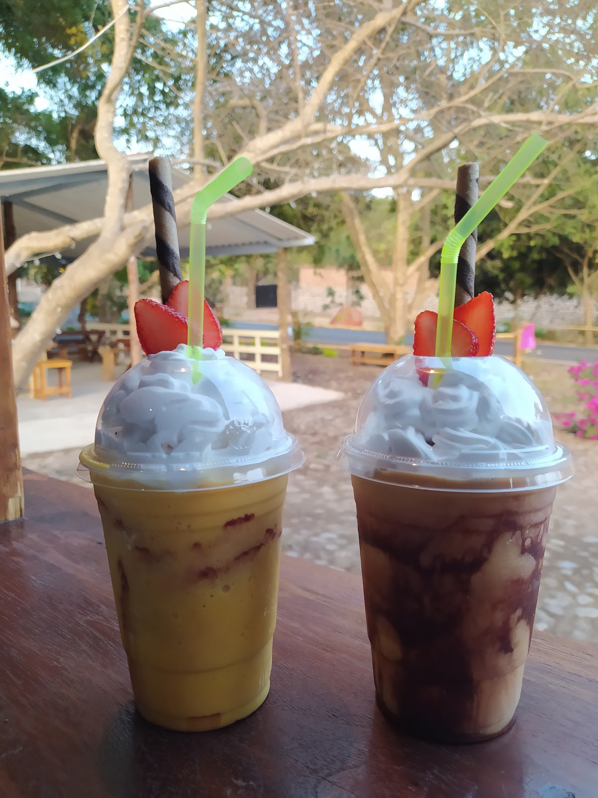 leetx-google-photo-60983-7 leetx-google-photo-60983-7