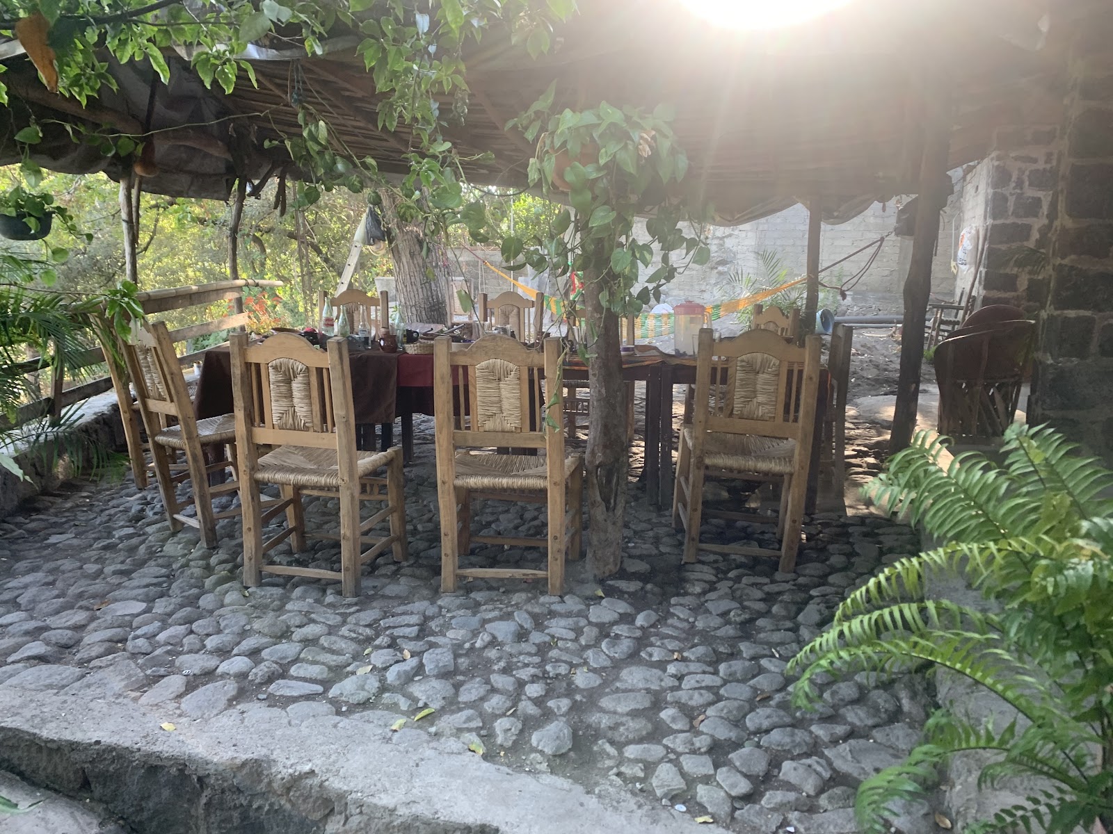 leetx-google-photo-61013-1