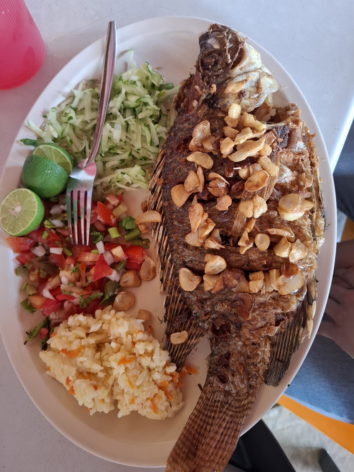 leetx-google-photo-61043-3 leetx-google-photo-61043-3