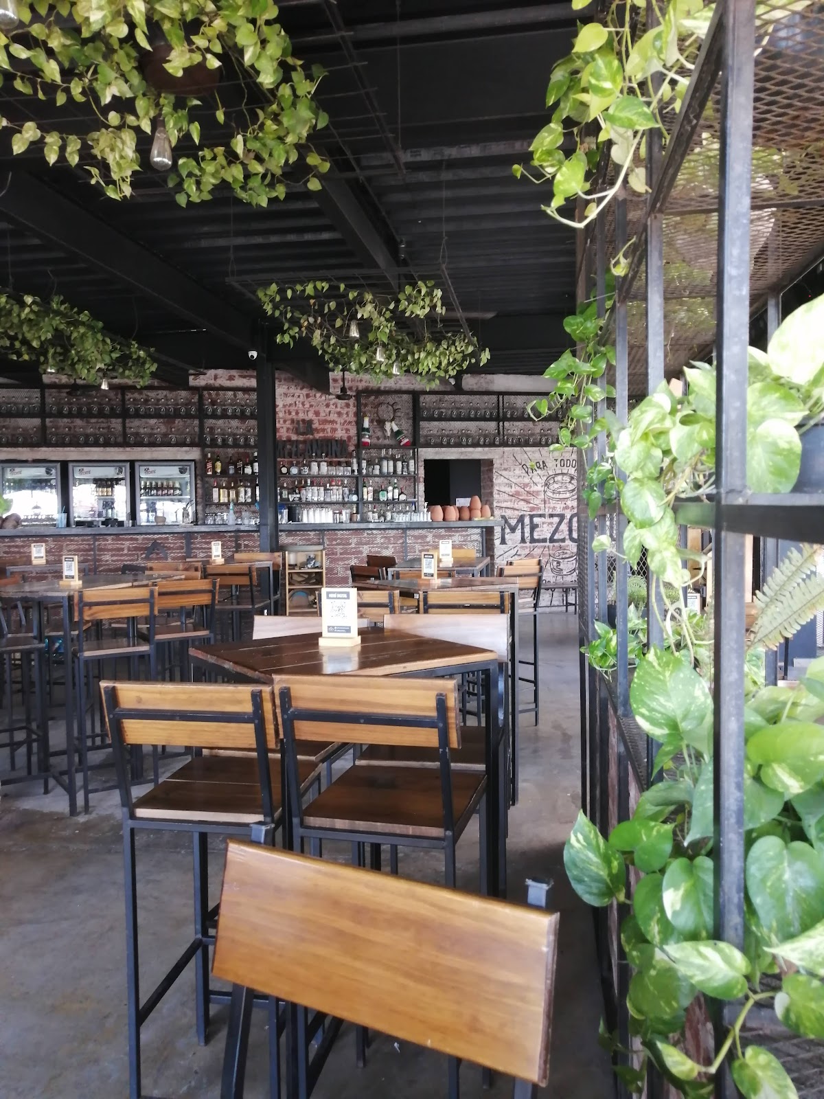 leetx-google-photo-61494-1