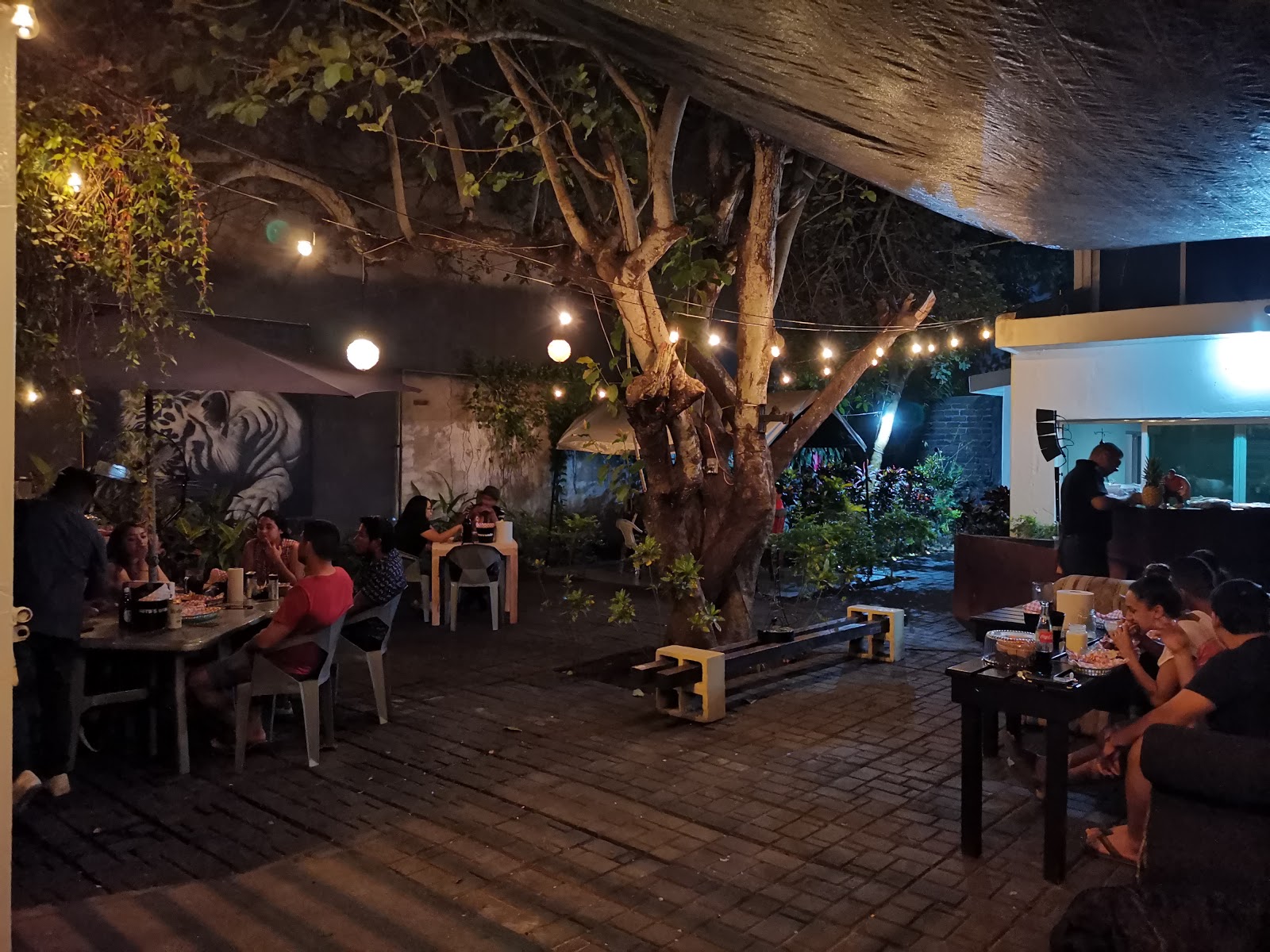 leetx-google-photo-61581-1