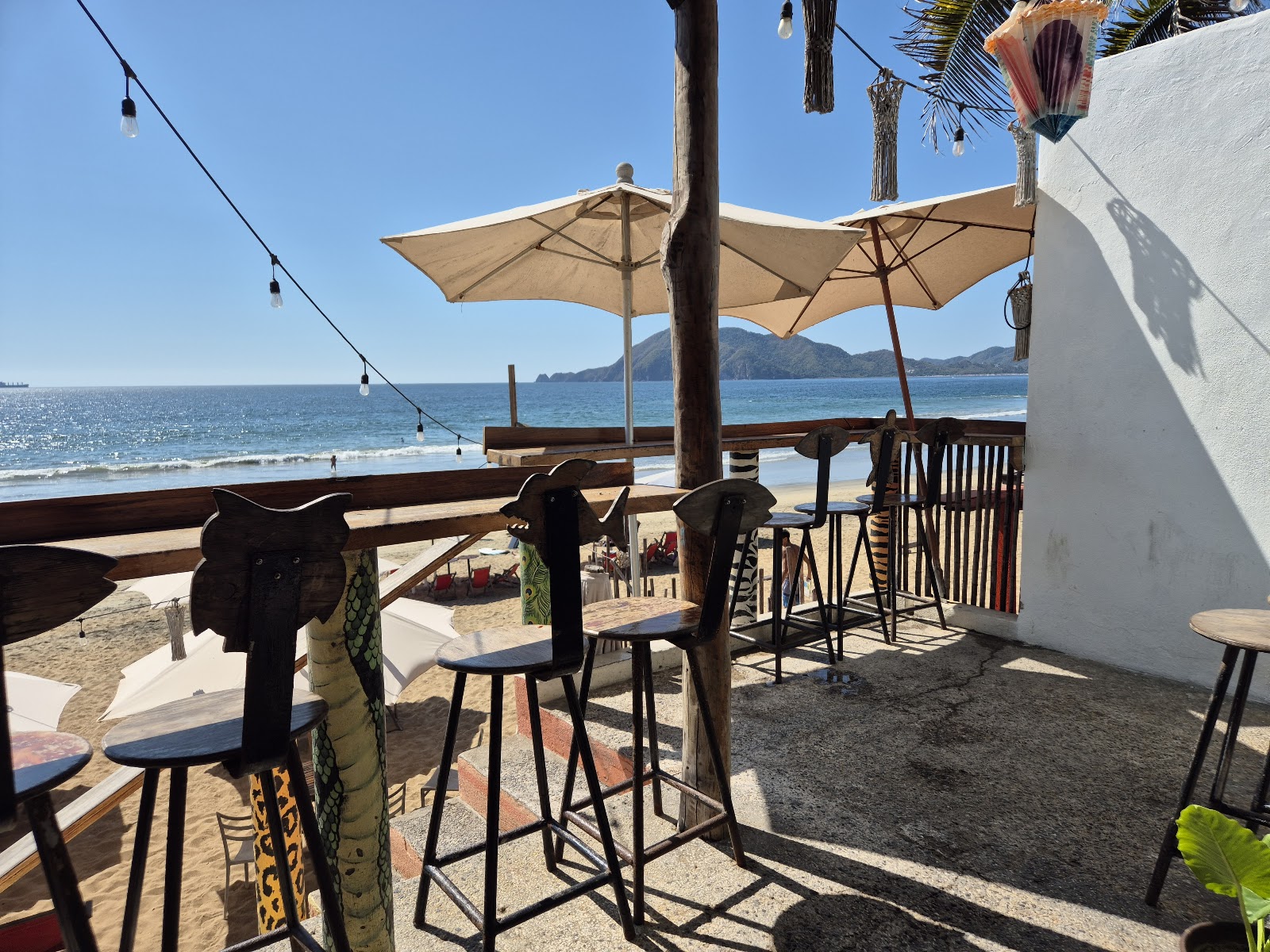 leetx-google-photo-62134-1