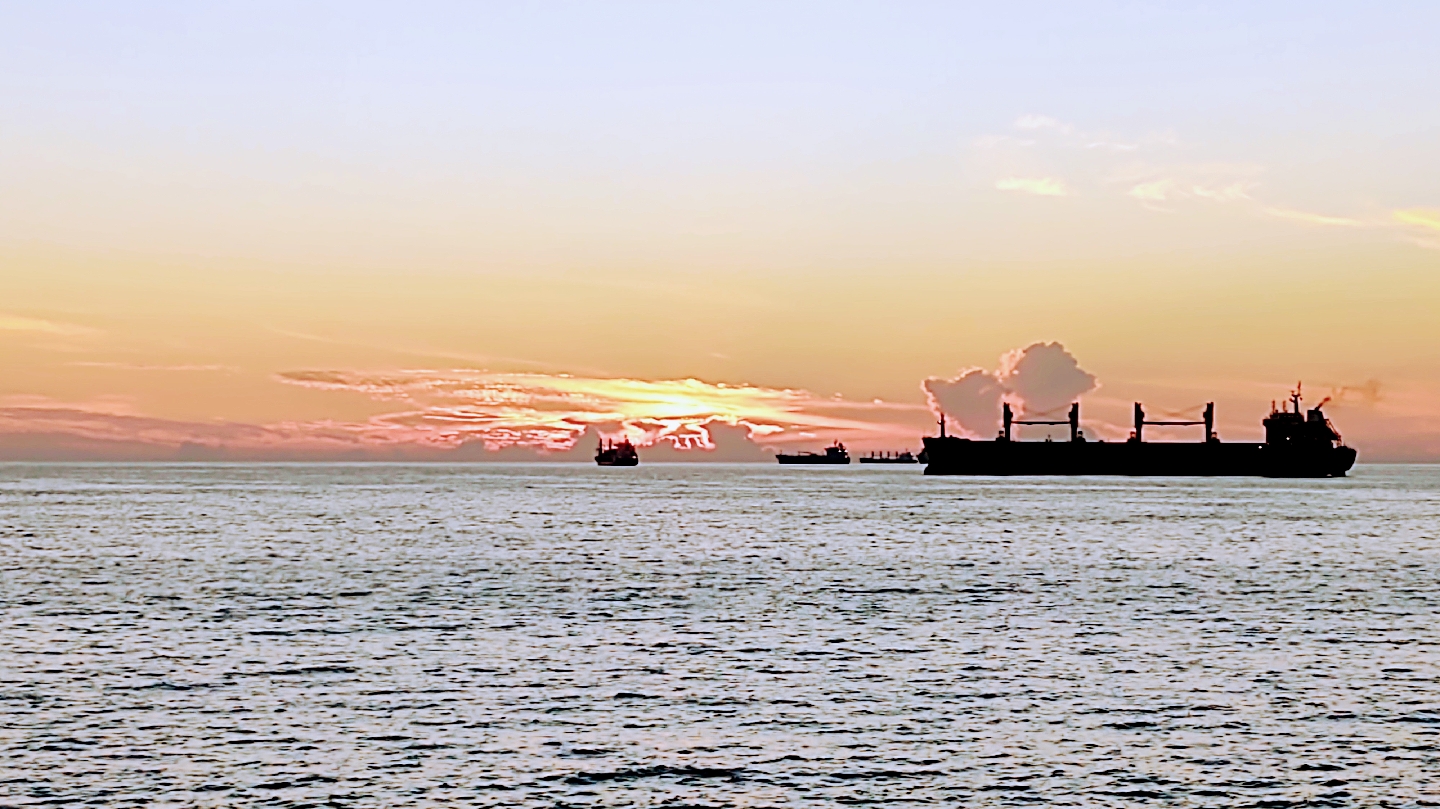 leetx-google-photo-62184-3 leetx-google-photo-62184-3