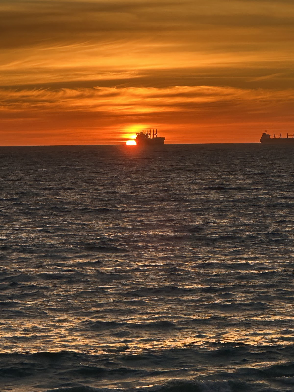 leetx-google-photo-62184-8 leetx-google-photo-62184-8