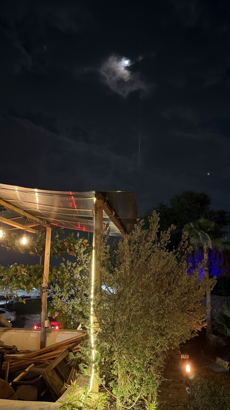 leetx-google-photo-62214-3 leetx-google-photo-62214-3