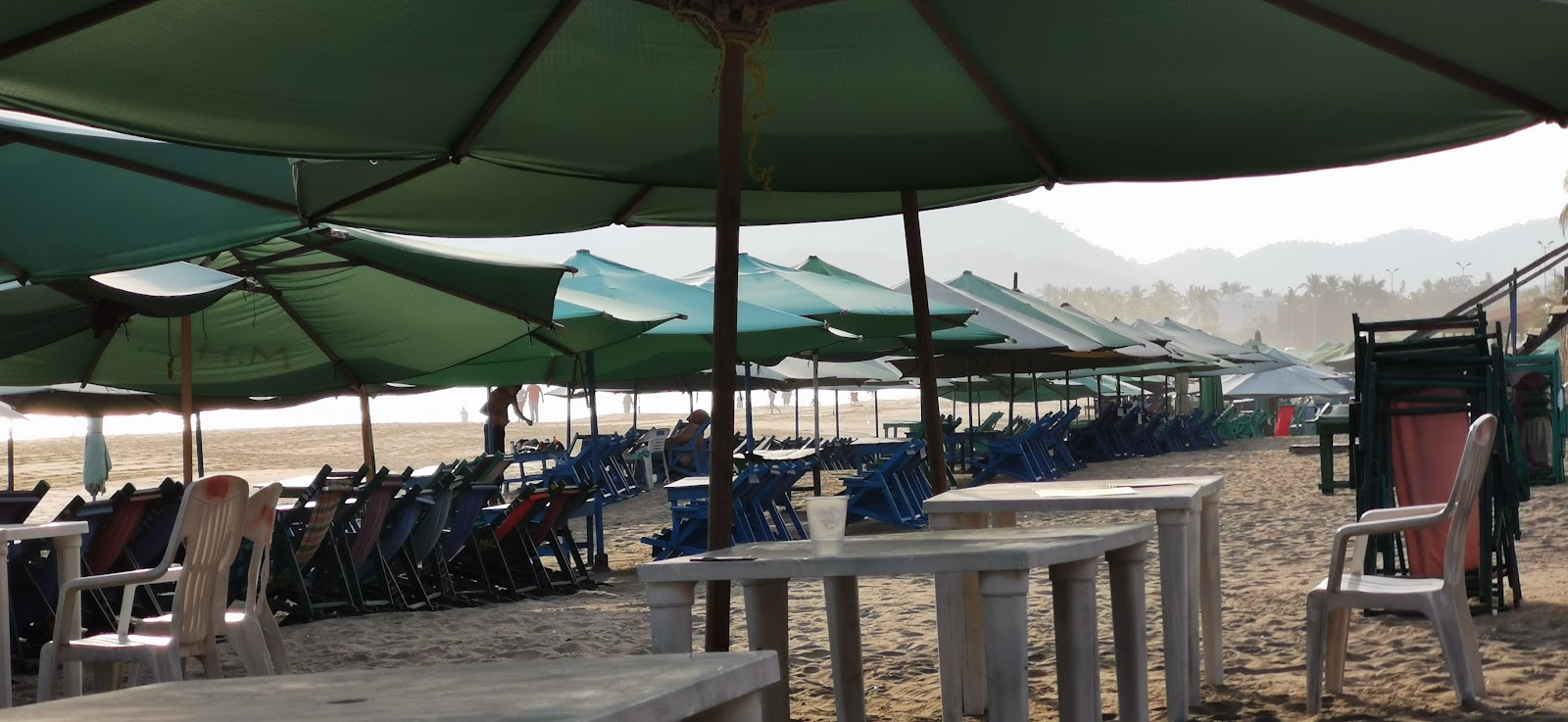 leetx-google-photo-62320-1