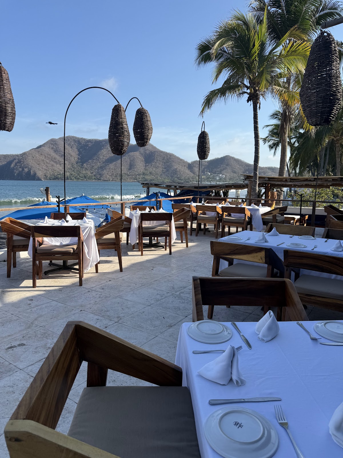 leetx-google-photo-62439-4 leetx-google-photo-62439-4