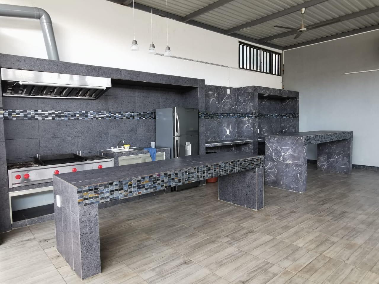 leetx-google-photo-62452-4 leetx-google-photo-62452-4