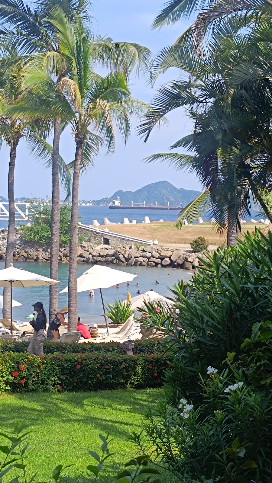 leetx-google-photo-62462-1