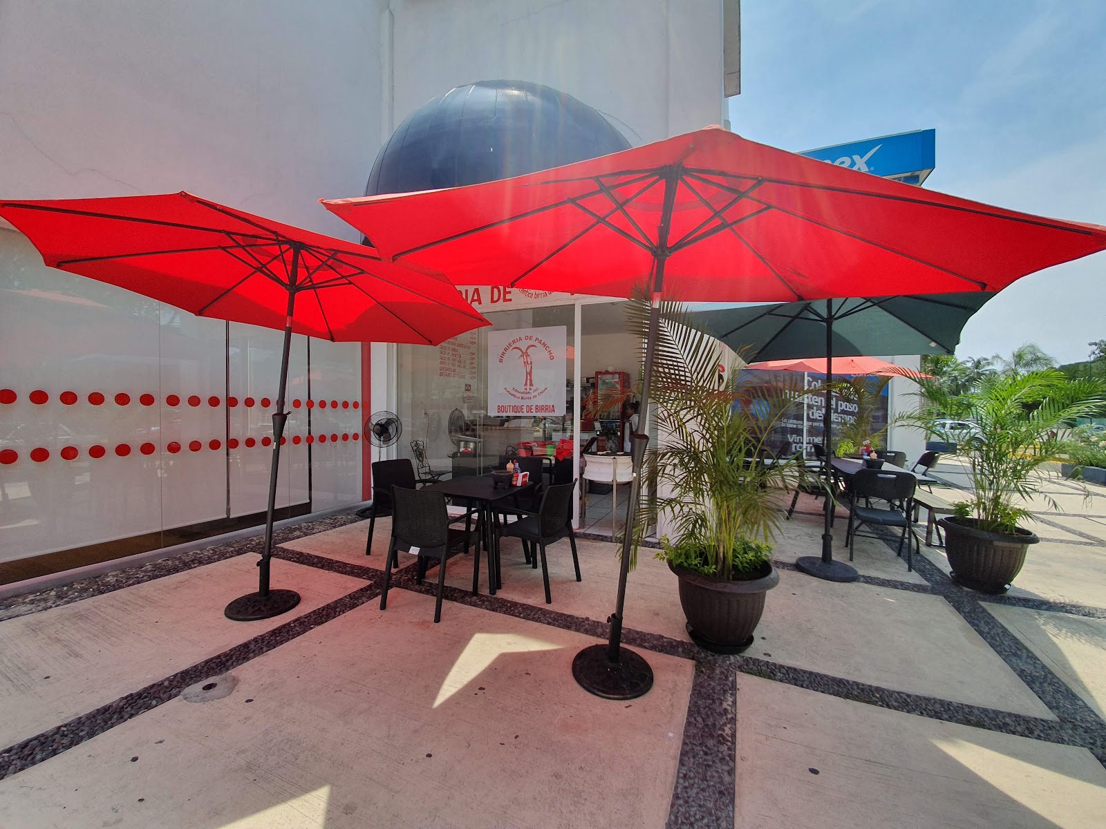 leetx-google-photo-62547-1