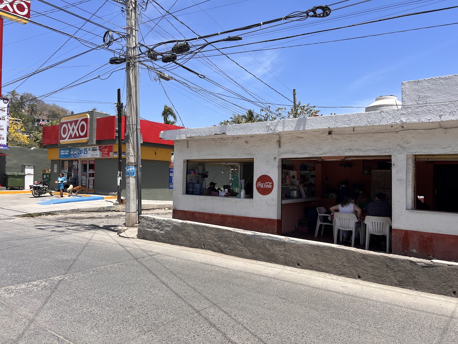 leetx-google-photo-64245-1