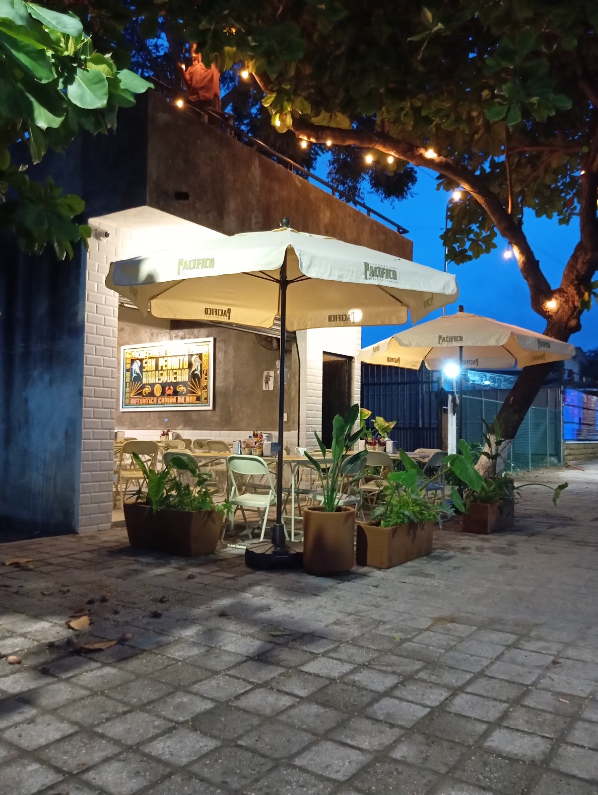 leetx-google-photo-64444-1