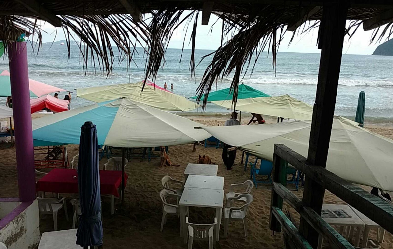 leetx-google-photo-64557-1