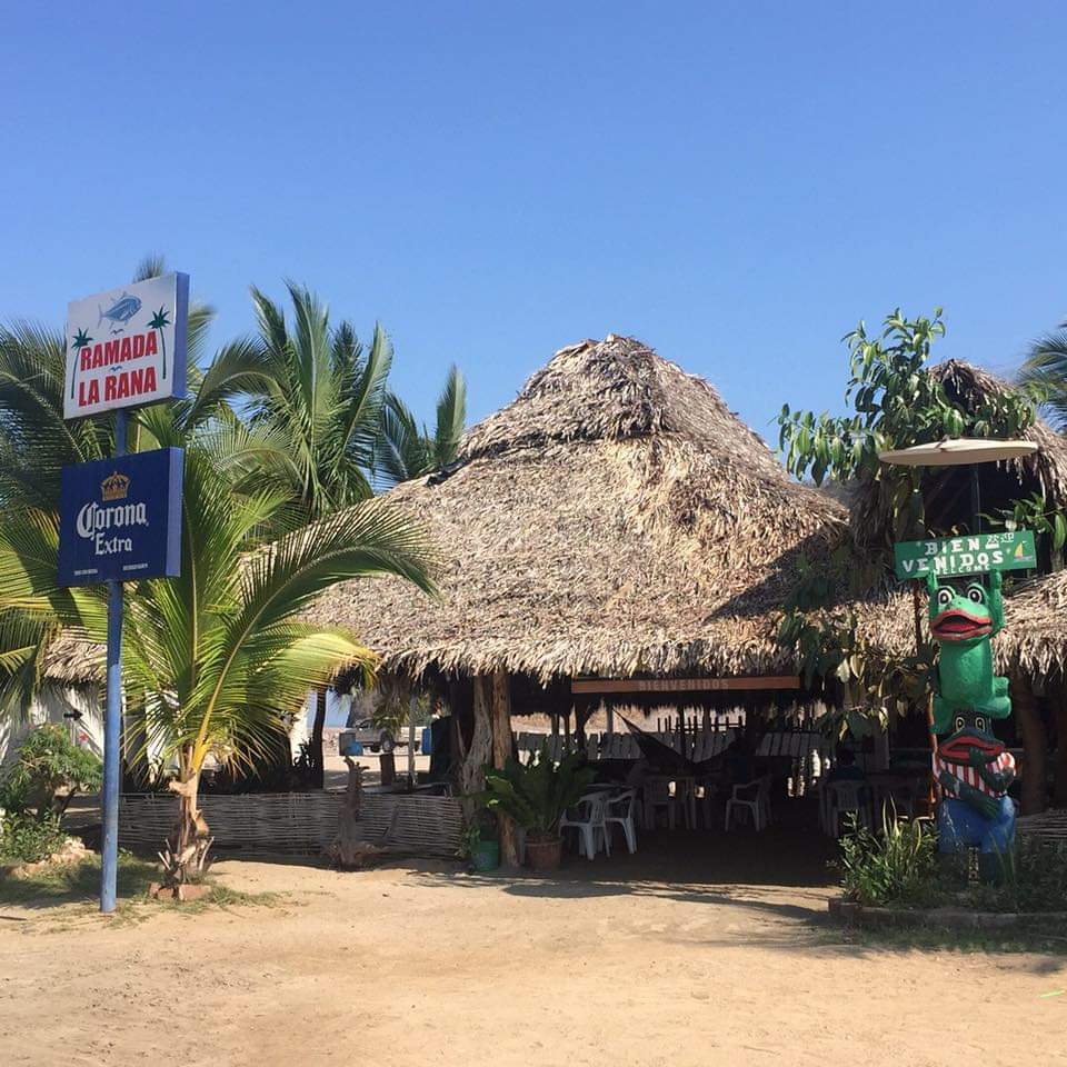 leetx-google-photo-64954-1