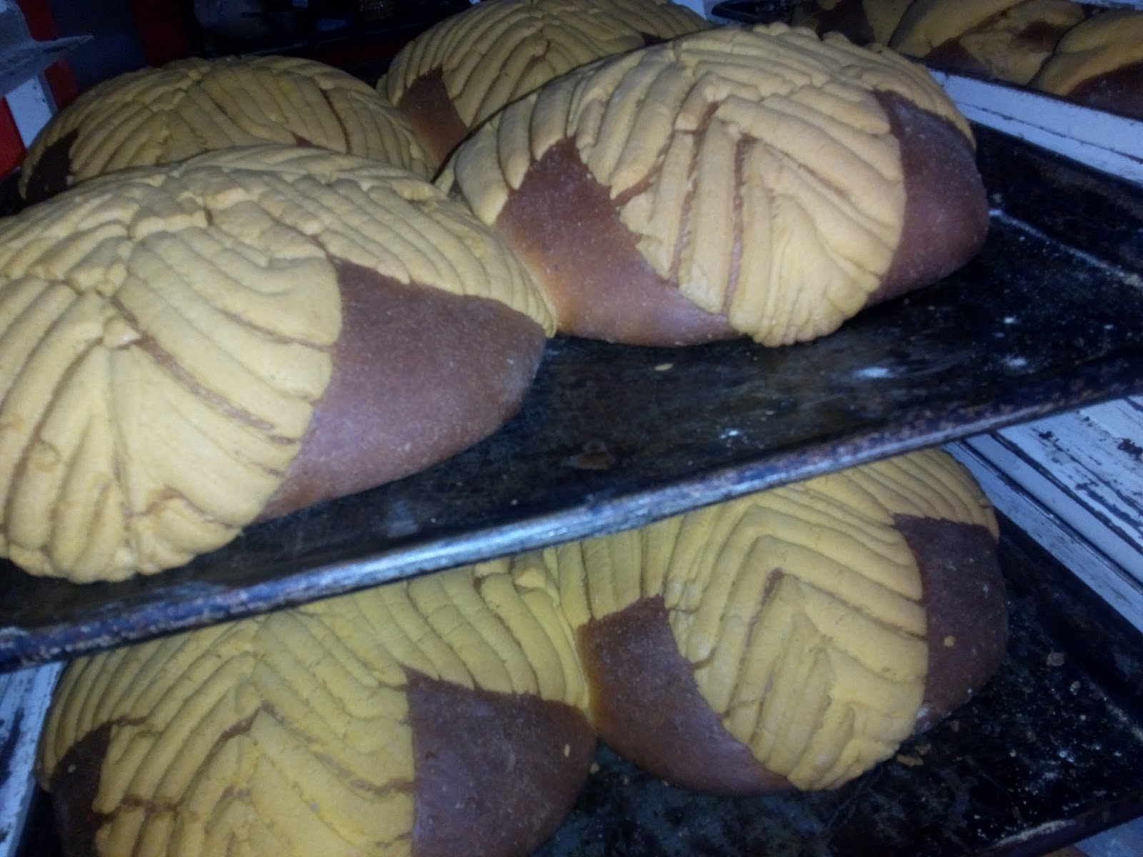 leetx-google-photo-64998-3 leetx-google-photo-64998-3