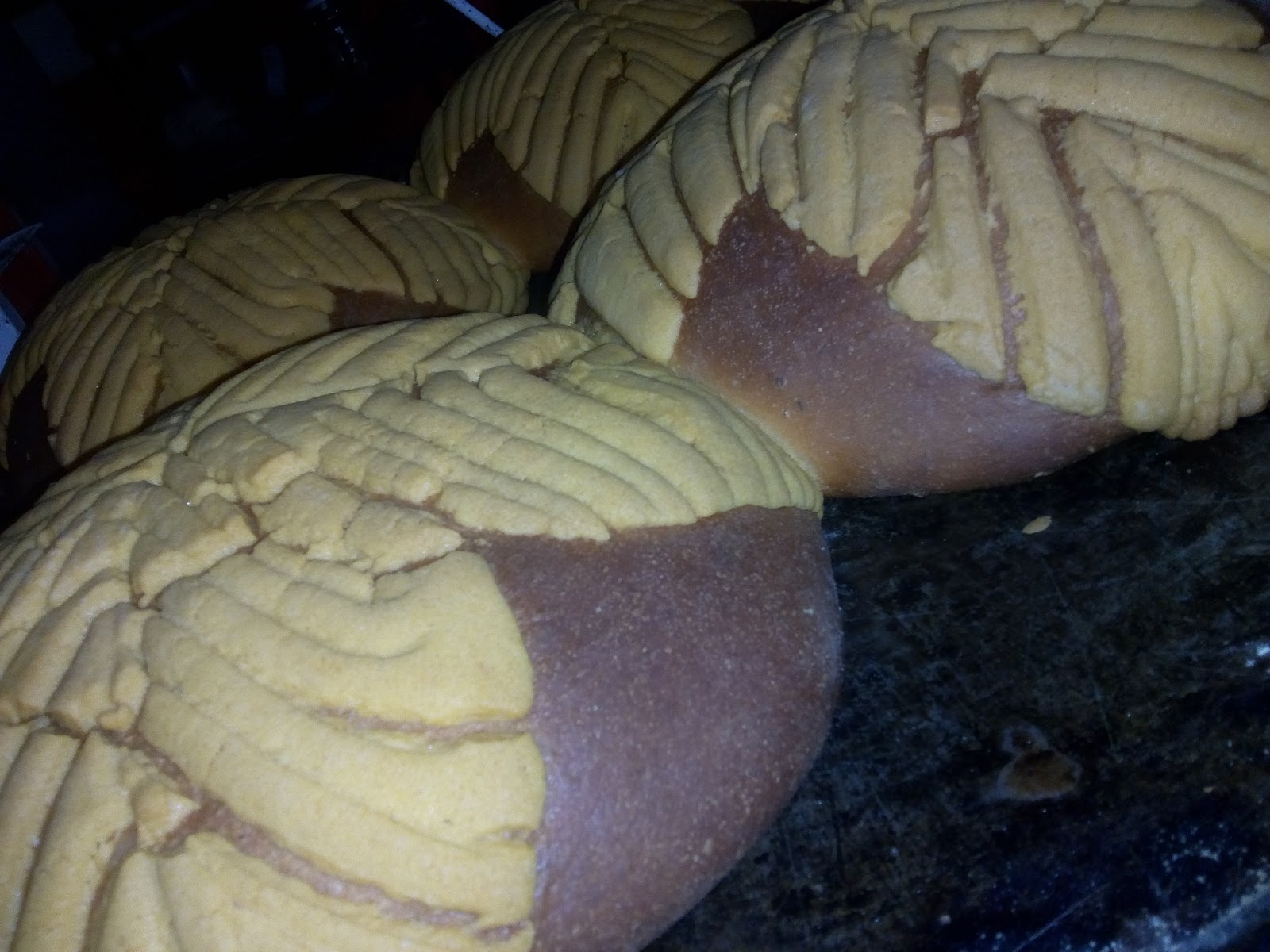 leetx-google-photo-64998-8 leetx-google-photo-64998-8