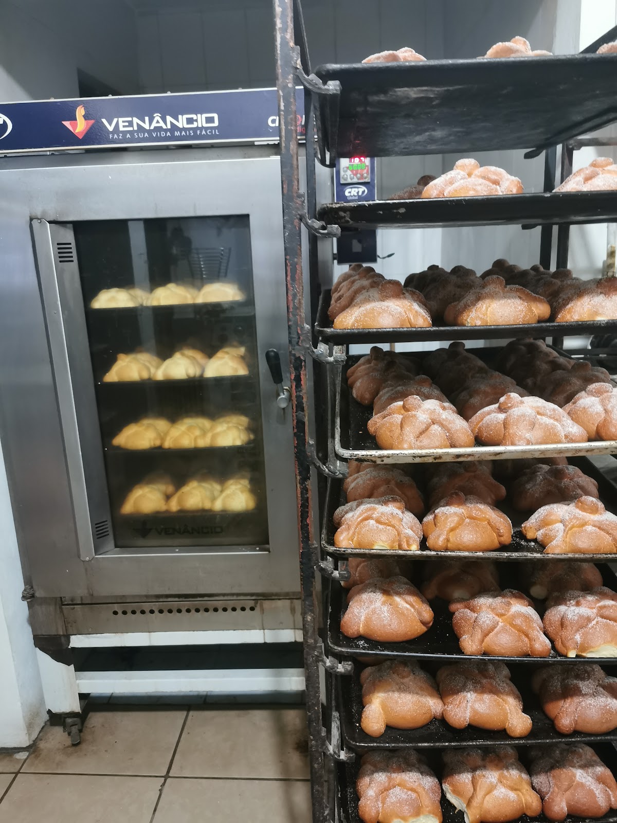 leetx-google-photo-65008-1